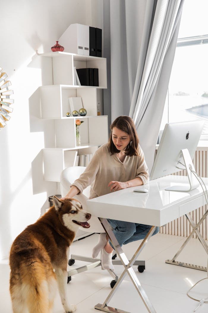 why-choose-us Woman sitting at desk with dog in modern home office setting, bright decor.
